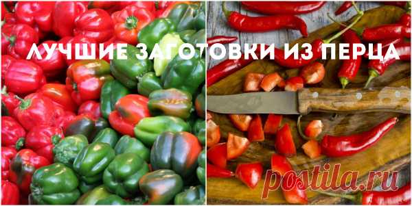 Перец на зиму: лучшие рецепты заготовок на зиму + ВИДЕО