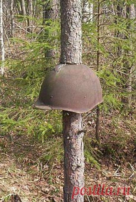 (17) Одноклассники