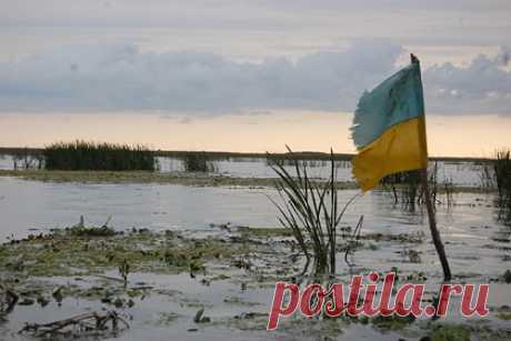 Украине предрекли гражданскую войну и разрушение государства. Киевский политолог Андрей Головачев предрек Украине гражданскую войну и разрушение государства. По его мнению, обвинения в госизмене, которых в стране в последнее время стало очень много, являются признаком скорого раскола. Он добавил, что все эти обвинения не имеют ничего общего с законностью и справедливостью.
