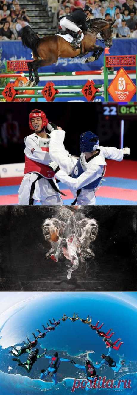 Велосипедный спорт, Акробатика, Керлинг, Парусный спорт. (1/1) - Спортивный форум. - Спортивный сайт