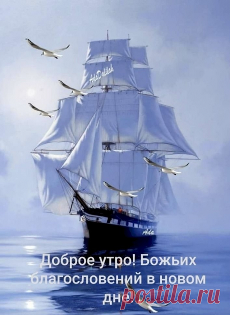 7929f069.jpg (707×967)
