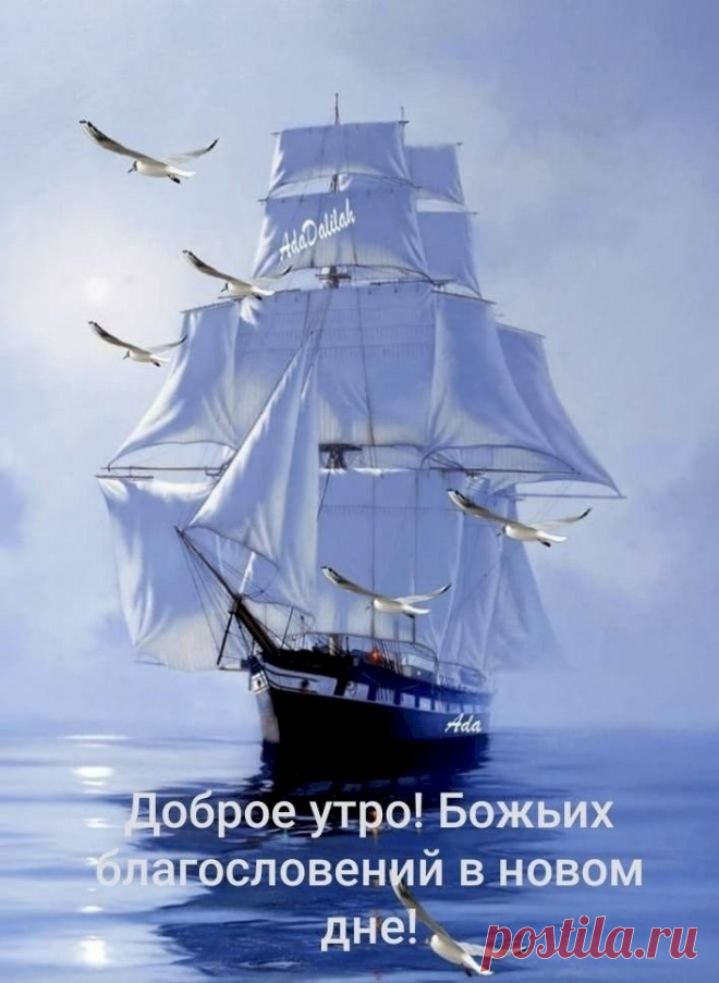 7929f069.jpg (707×967)