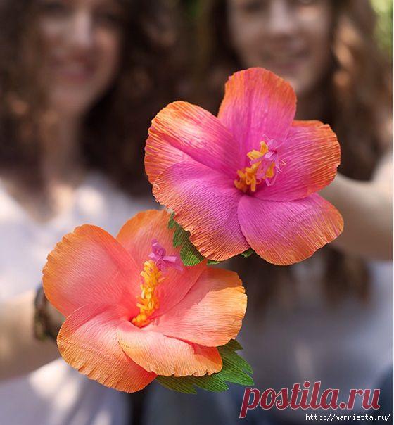 цветы из гофрированной бумаги - Самое интересное в блогах