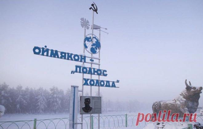 Бывает хуже