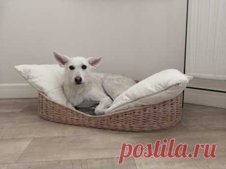 Удобный лежачок для питомца размеры 80см*50см*15см