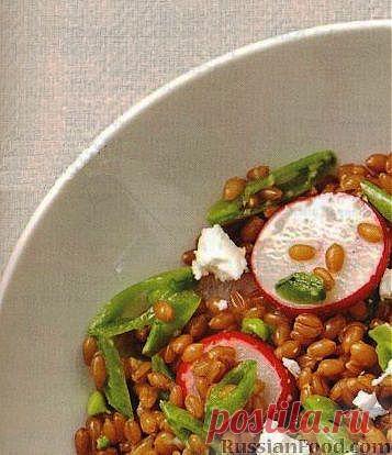 50 вариантов салата из редиски.