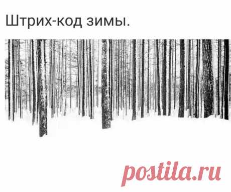 Штрих - код зимы