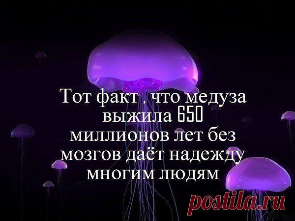 (69) Одноклассники