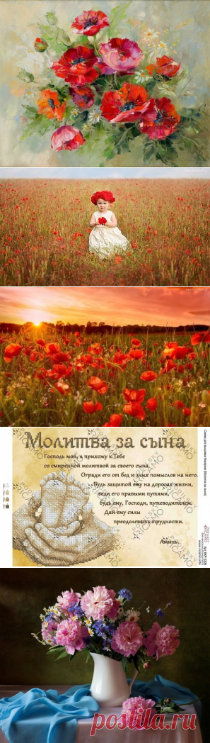 (39) Одноклассники