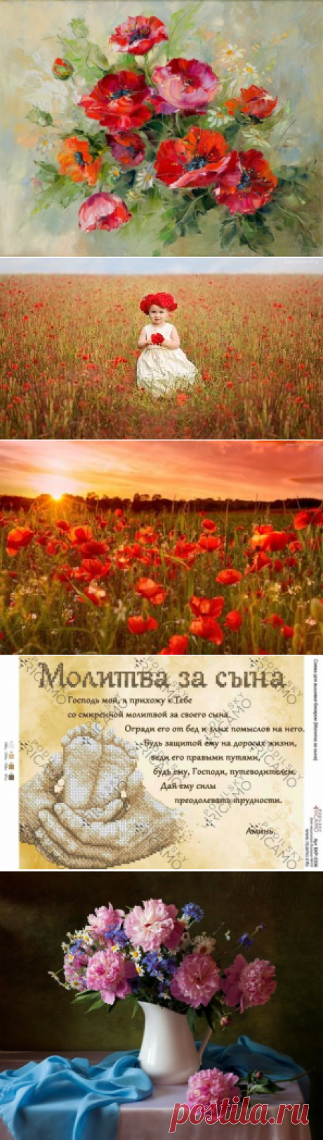 (39) Одноклассники
