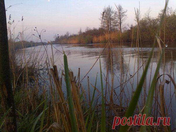 Нет ничего лучше,чем встретить утро на рыбалке / Богатая добыча