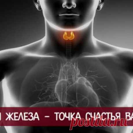 Вилочковая железа - точка счастья вашего тела