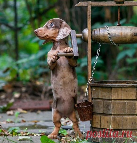 Фотограф Ирина Сазонова