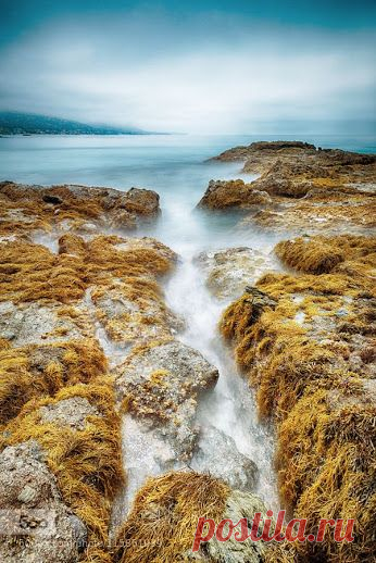 Tabitha Zhong – Google+