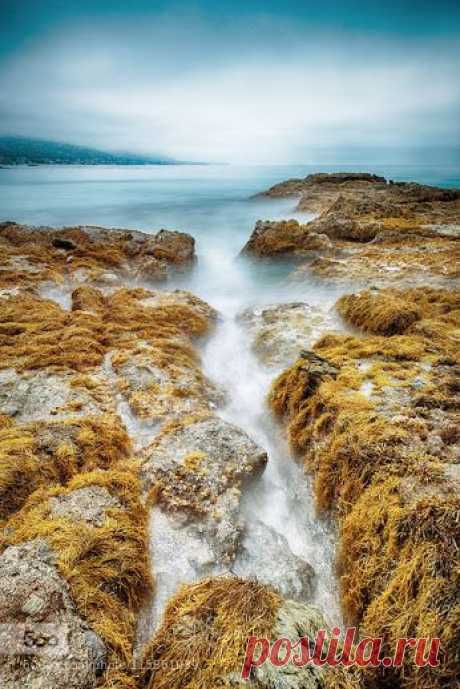 Tabitha Zhong – Google+