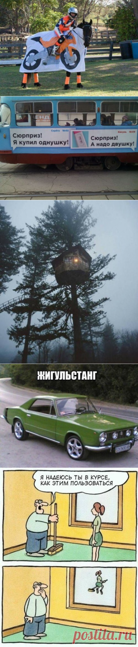Фотоприколы дня / Приколы