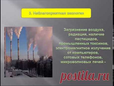 Молодость и красота :: Похудение для Ленивых