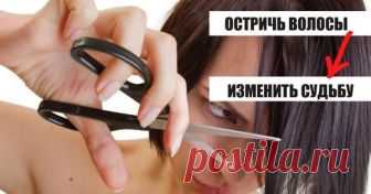 Не верила в суеверия, но после стрижки в воскресенье случилось такое…