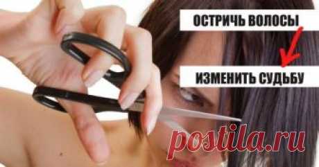 Не верила в суеверия, но после стрижки в воскресенье случилось такое…