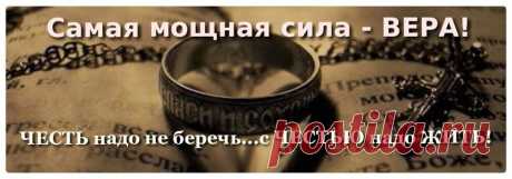 Сергей Шейн