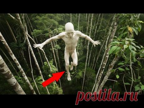 Дрон Случайно Сделал Леденящее Душу ФОТО, Пролетая Над Джунглями! Топ 20