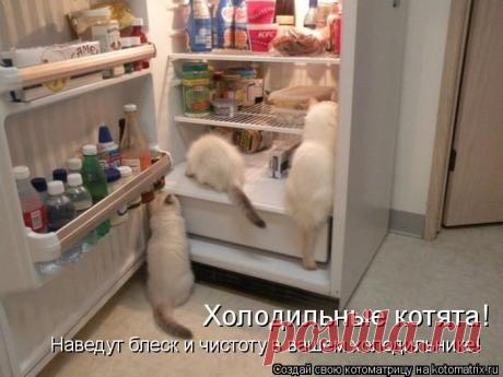 Вдруг вылазит морда эта!