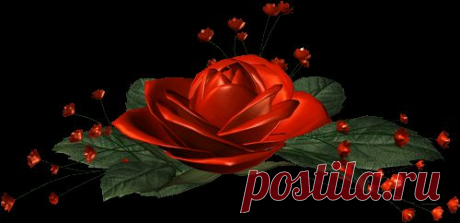 Плейкаст «ღ❤ღИЗ ВСЕХ ПОДРУГ,ТЫ ЛУЧШАЯ НА СВЕТЕ...ღ❤ღ»