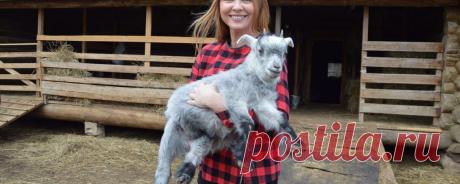 Варвара: как заслуженная артистка России переехала в деревню и стала успешным фермером | Деревенское хозяйство