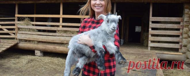 Варвара: как заслуженная артистка России переехала в деревню и стала успешным фермером | Деревенское хозяйство