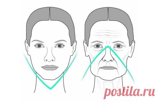 1 массажное упражнение для лица, которое можно делать даже лежа в постели - щеки и овал лица подтянутся, а носогубные складки расправятся - ПолонСил.ру - социальная сеть здоровья - 11 июня - Медиаплатформа МирТесен Известно, что подтянуть овал лица, а тем более брыли и носогубные складки подтянуть бывает очень трудно. Зачастую это затрачивает у нас большое количество времени, сил, энергии, почему сложные упражнения могут подойти не всем. А как известно с одними средствами ...