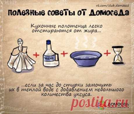полезные советы на все случаи жизни: 14 тыс изображений найдено в Яндекс.Картинках