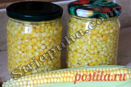 Кукуруза консервированная дома
