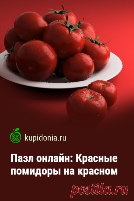 Пазл онлайн: Красные помидоры на красном. Красивый пазл с яркими помидорами из серии «Овощи и фрукты». Собирай пазлы на сайте!