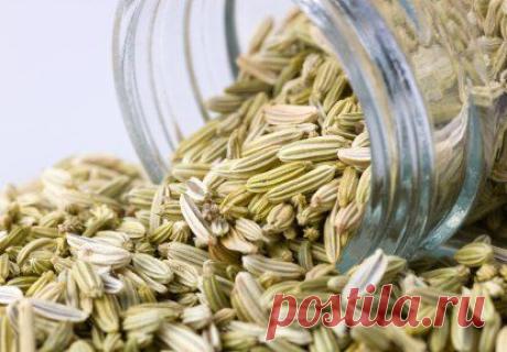 Wall | VK
Фенхель обыкновенный нередко называют аптечным укропом, а в народе еще и волошским или сладким укропом. Он обладает приятным анисовым запахом, сладковато-пряным вкусом. 
🌿 Плоды отлично способствуют активному выделению пищеварительных соков, отвары действуют как болеутоляющее, отхаркивающее, мочегонное и спазмалитическое средство. Препараты из разных частей фенхеля назначают при атонии желудка, кишечника, диспепсии, при желудочных и кишечных коликах, вызванных спазмом