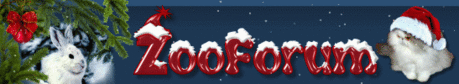 ZooForum -&gt; Общие вопросы здоровья