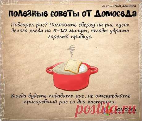 Хозяйке на заметку | Прикол.ру — приколы, картинки, фотки и розыгрыши!