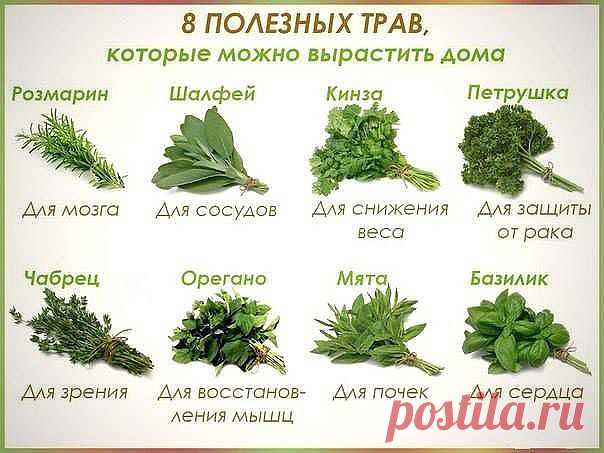 БАБУШКИНЫ МУДРЫЕ СОВЕТЫ ДЛЯ ЗДОРОВЬЯ.
Не забудьте сохранить к себе на страницу эти советы!  Как это сделать, смотрите под самим постом
— Воду пей перед едой — будешь долго молодой.
— Коже рук вернет былое сок чесночный и алоэ.
— Гепатиту гибель дарят корни ревеня в отваре.
— Чем старее мужичок, тем важней ему лучок!
— Вену видно изнутри — уксус яблочный вотри.— Натощак зуб чеснока — сутки вирус в дураках.
— Мёд, лимоны и чеснок одышку пустят наутек.
— Глицерин, лимон и мед...
