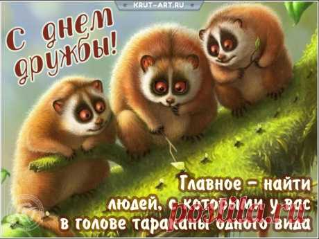 Спешу поздравить вас с Международным днём дружбы!