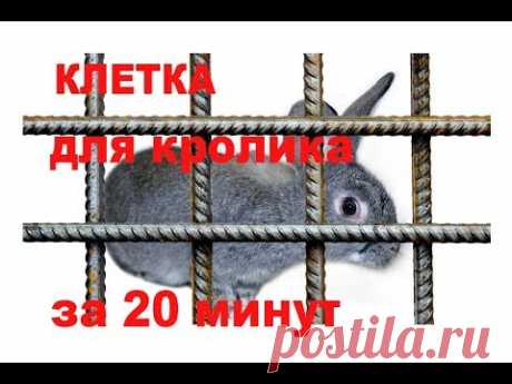Простая и дешевая клетка для кролика за 20 минут
