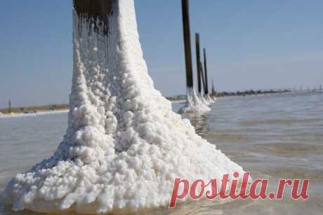 Люди СТАРЫЕ ЦАРСКИЕ КУПАЛЬНИ НА ОЗЕРЕ ЭЛЬТОН В ВОЛГОГРАДСКОЙ ОБЛАСТИ СОХРАНИЛИСЬ С ЕКАТЕРИНИНСКИХ ВРЕМЁН!