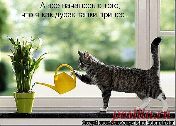 теперь цветами увлекаюсь