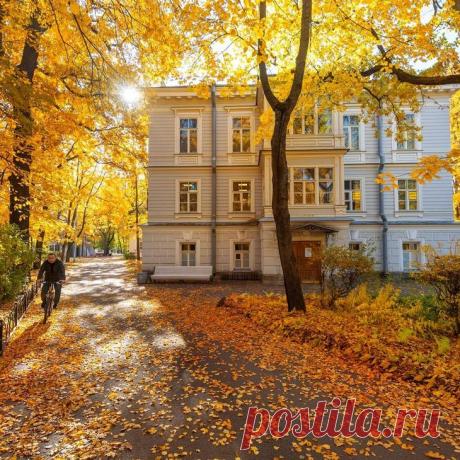 Санкт-Петербург и его окрестности на фотографиях Эдуарда Гордеева