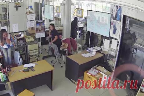 Огромный варан ворвался в офис, устроил переполох среди сотрудниц и смутился. Варан неожиданно забежал в офис курьерской компании в Таиланде. Появление рептилии попало на видео. Сидевшие в офисе сотрудницы при виде варана начали паниковать. Они с криками покинули свои рабочие места. Варан тоже испугался, забился в угол и тяжело дышал. Его эвакуировали сотрудники организации по спасению животных.