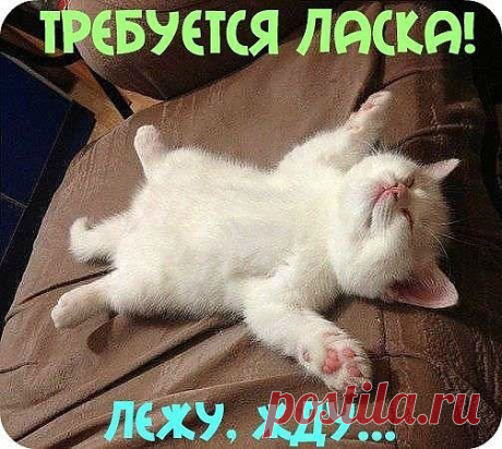 Мой Мир@Mail.Ru