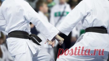 Всемирная федерация карате запретила делегации Украины делать политические заявления. Президент Федерации карате России Сергей Цой заявил, что Всемирная федерация карате (WKF) запретила украинской делегации делать политические заявления. Читать далее