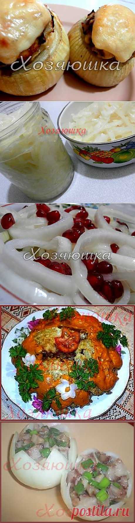 Лук-это вкусно! 14 лучших рецептов из лука