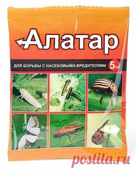 (1) Одноклассники. Химия на даче.