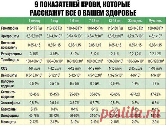 9 ПОКАЗАТЕЛЕЙ КРОВИ, КОТОРЫЕ РАССКАЖУТ ВСЕ О ВАШЕМ ЗДОРОВЬЕ 
Итак, что же говорит нам наша кровь? Анализ крови мы сдаем практически при любом заболевании. И грамотный врач непременно отправит вас первым делом “на кровь”. Для общего анализа кровь берется или из вены, или из пальца. И первичный анализ можно сдавать не натощак. Но для развернутого есть нельзя ни в коем случае! Помните это! 
Причина такого требования проста: любая пища изменит ваш сахар в крови, и анализ будет не объективен. Лучше