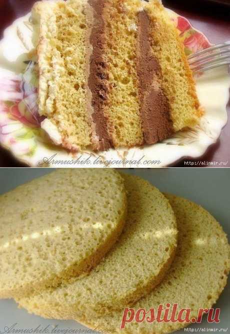 Удивительный нежный бисквит для торта. Без духовки!