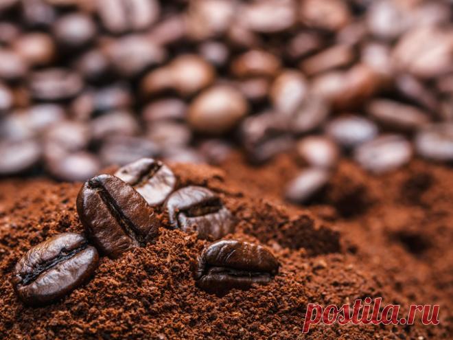 ТОП-5 способов использования кофейной гущи - Полезное для хозяйки - Лайфхаки - Smak.ua